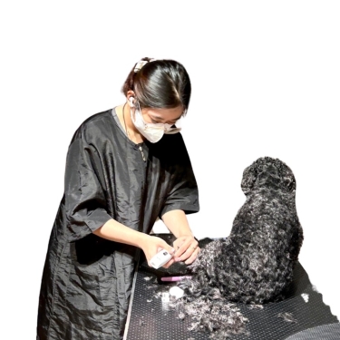 Dịch vụ Shave