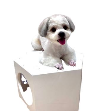 Về tư vấn đại lý