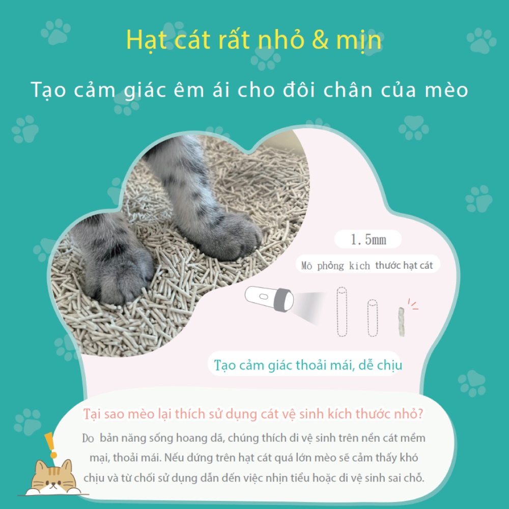 Cát vệ sinh đậu nành 4in1 cho mèo