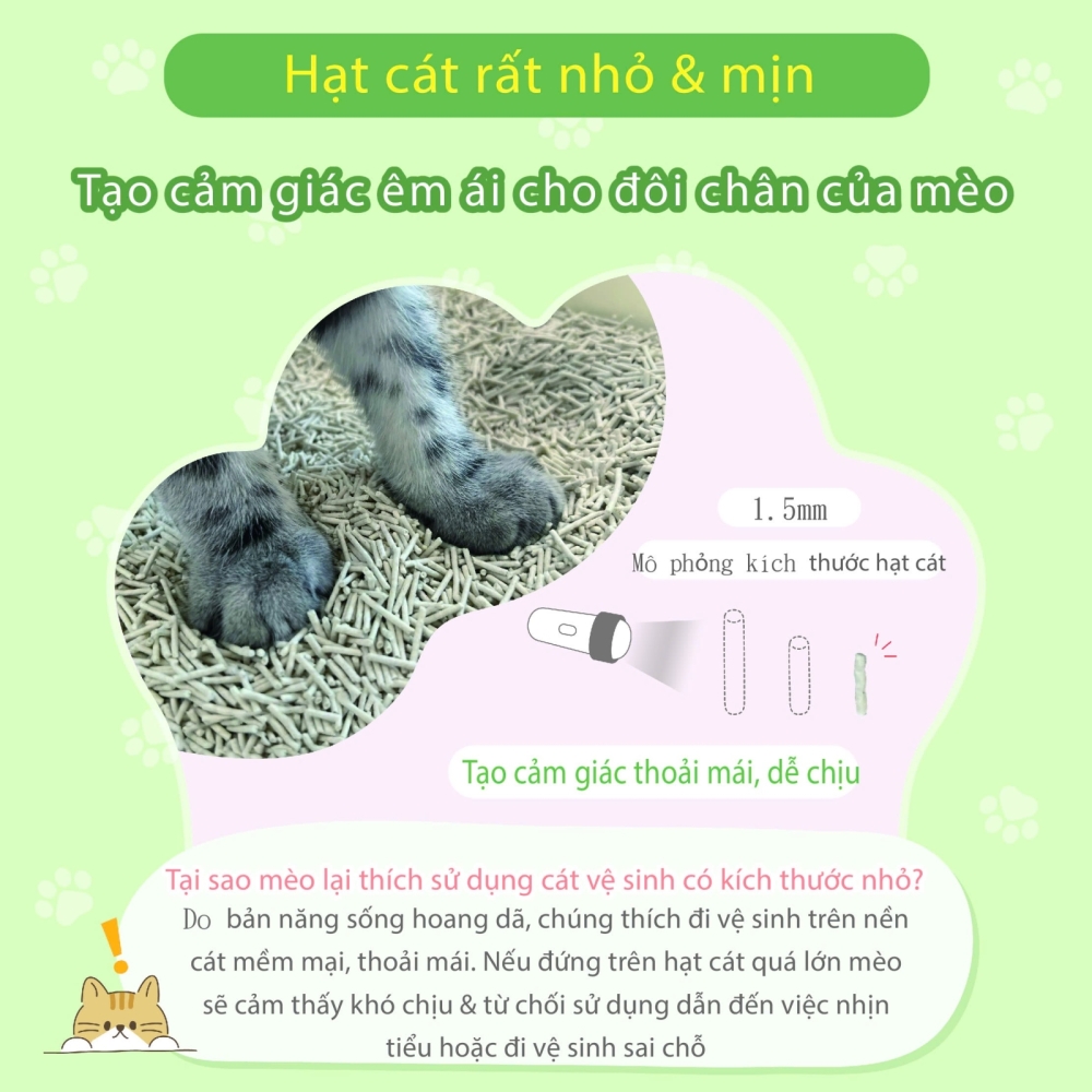 Cát vệ sinh 3in1 đậu nành cho mèo