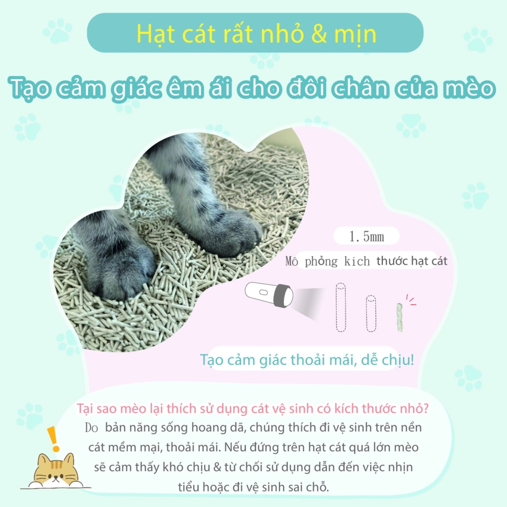 Cát vệ sinh 100% đậu nành cho mèo