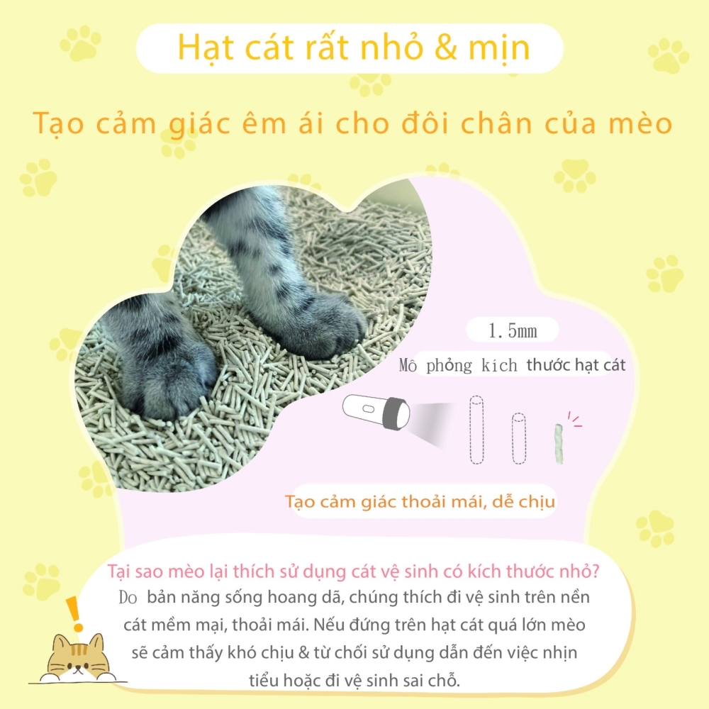 Cát vệ sinh 3in1 đậu nành cho mèo