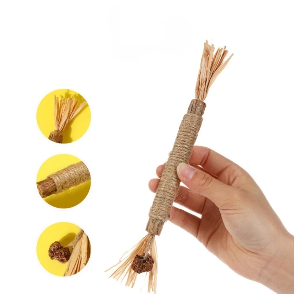 Que catnip cho mèo hỗ trợ giải tỏa căng thẳng cho mèo