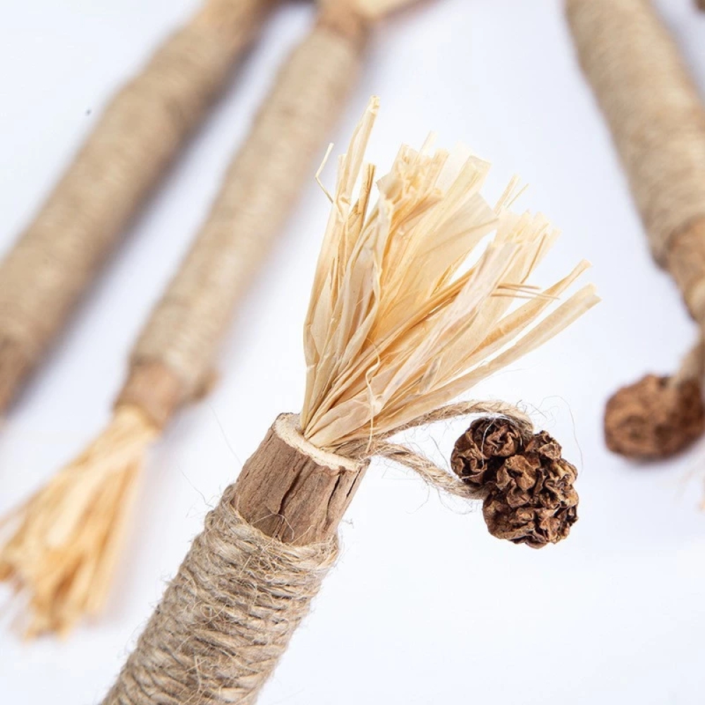 Que catnip cho mèo hỗ trợ giải tỏa căng thẳng cho mèo