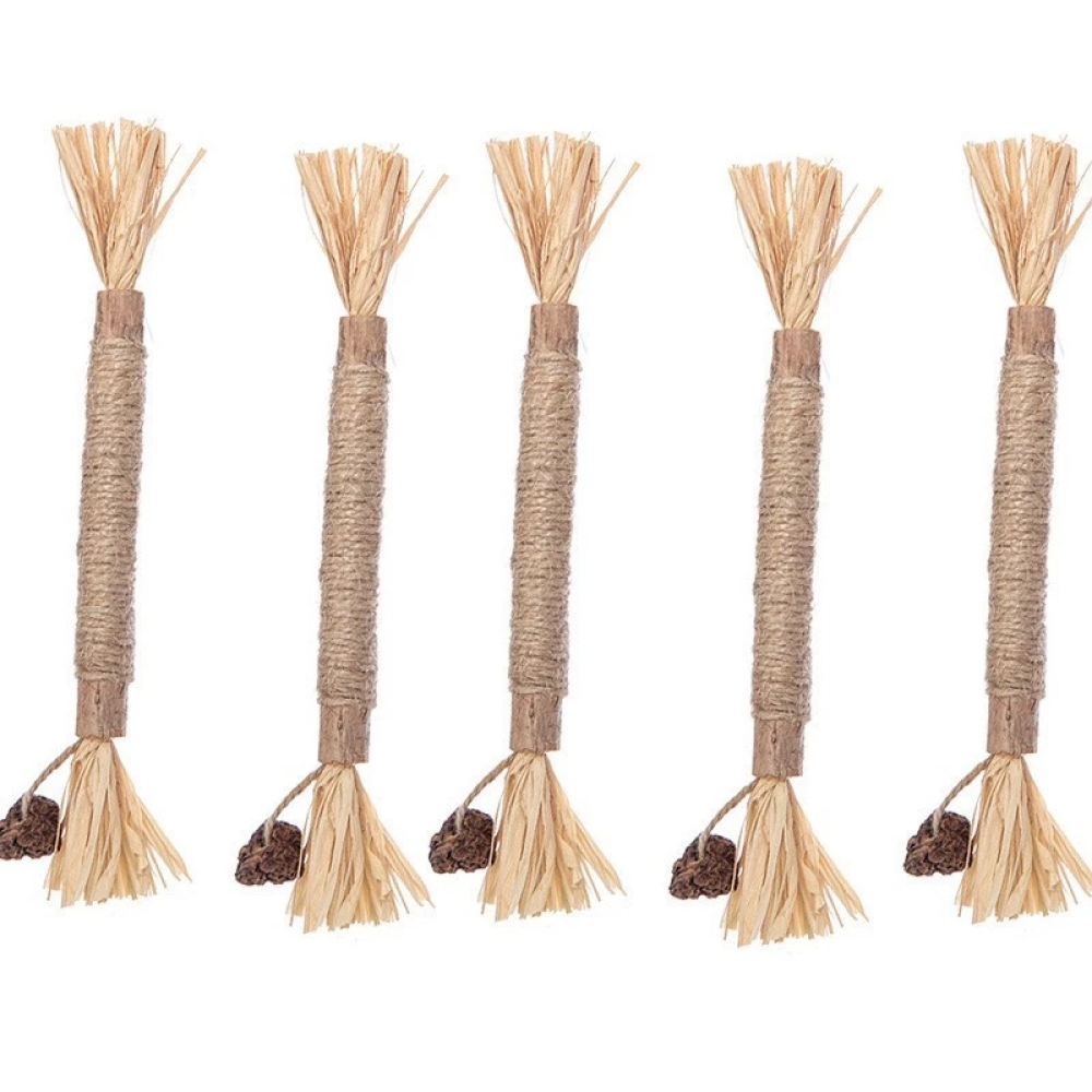 Que catnip cho mèo hỗ trợ giải tỏa căng thẳng cho mèo