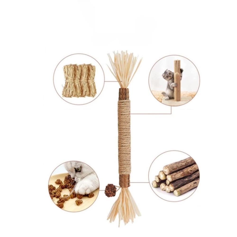 Que catnip cho mèo hỗ trợ giải tỏa căng thẳng cho mèo