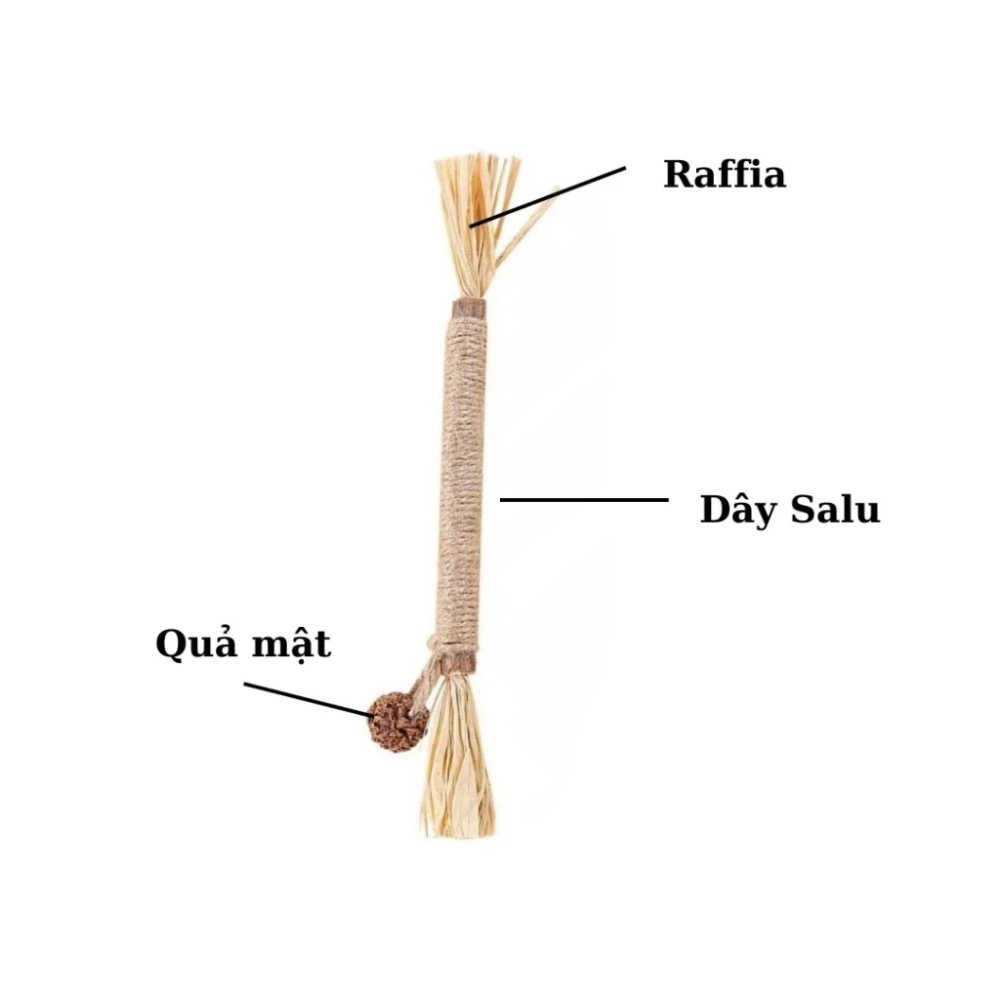 Que catnip cho mèo hỗ trợ giải tỏa căng thẳng cho mèo