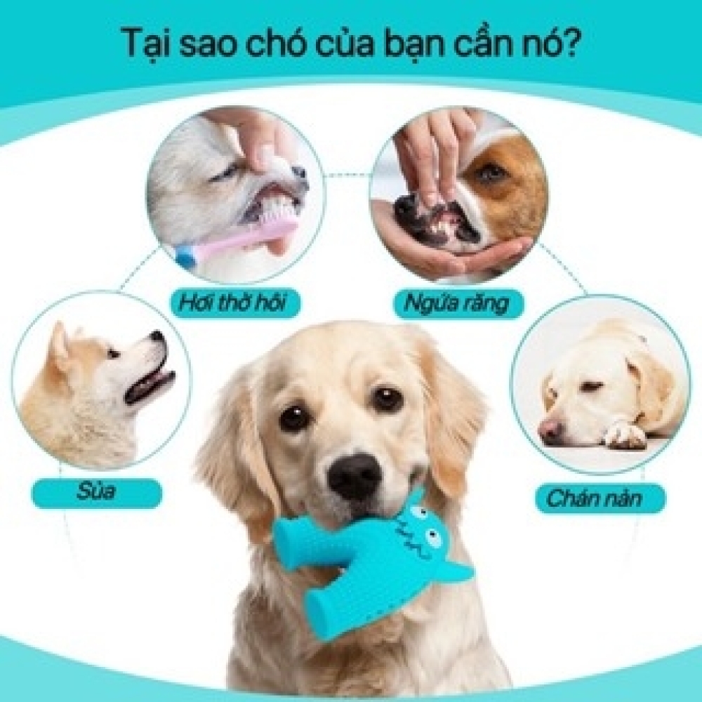 Đồ chơi chó gặm Silicon hình quái vật giúp huấn luyện thú cưng