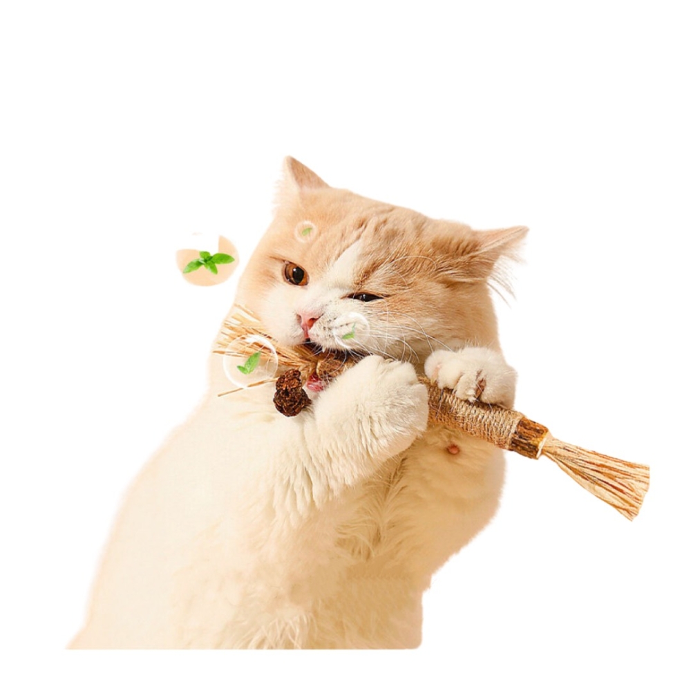 Catnip que gỗ bạc hà giảm stress cho mèo