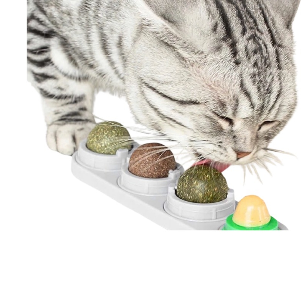 Set catnip dưỡng lông, hỗ trợ tiêu hóa cho mèo