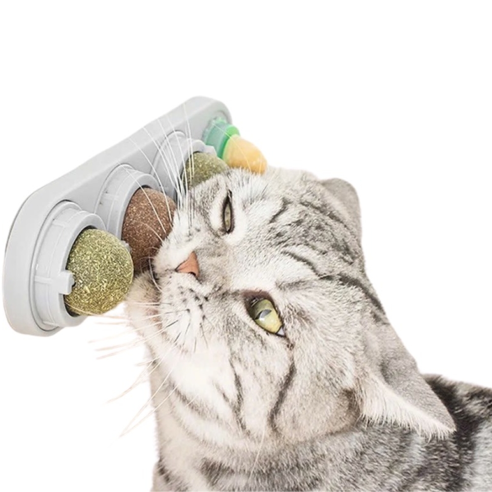 Set catnip dưỡng lông, hỗ trợ tiêu hóa cho mèo