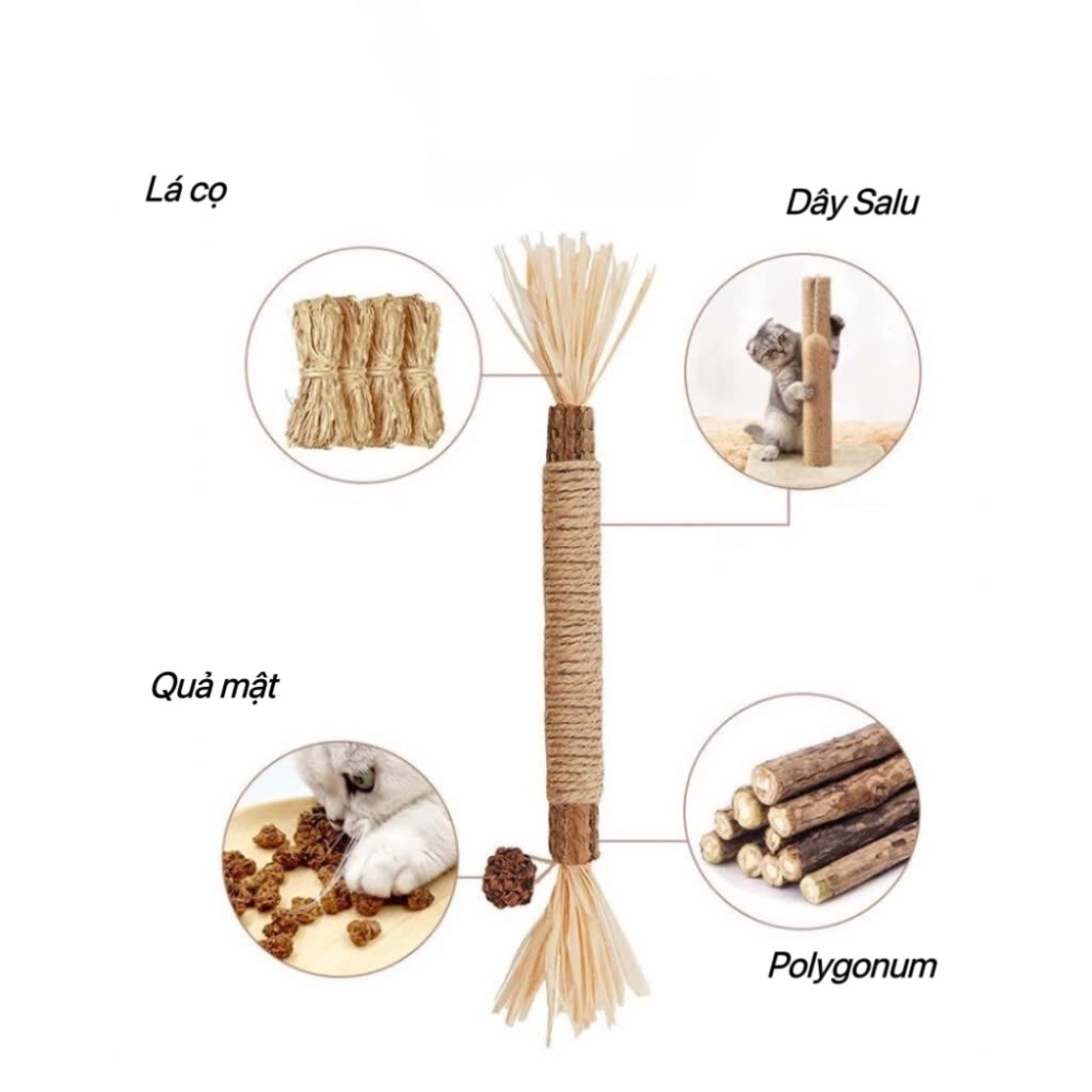 Que catnip cho mèo hỗ trợ giải tỏa căng thẳng cho mèo
