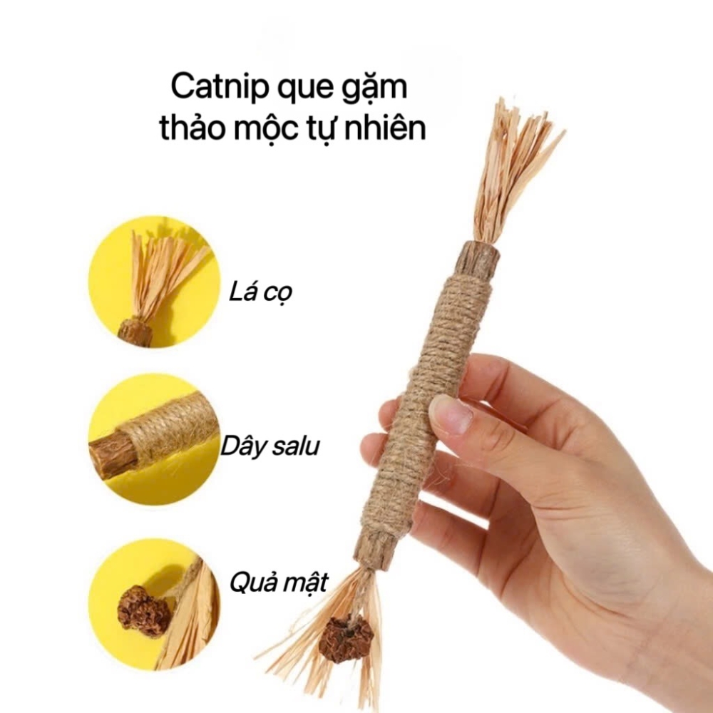Que catnip cho mèo hỗ trợ giải tỏa căng thẳng cho mèo