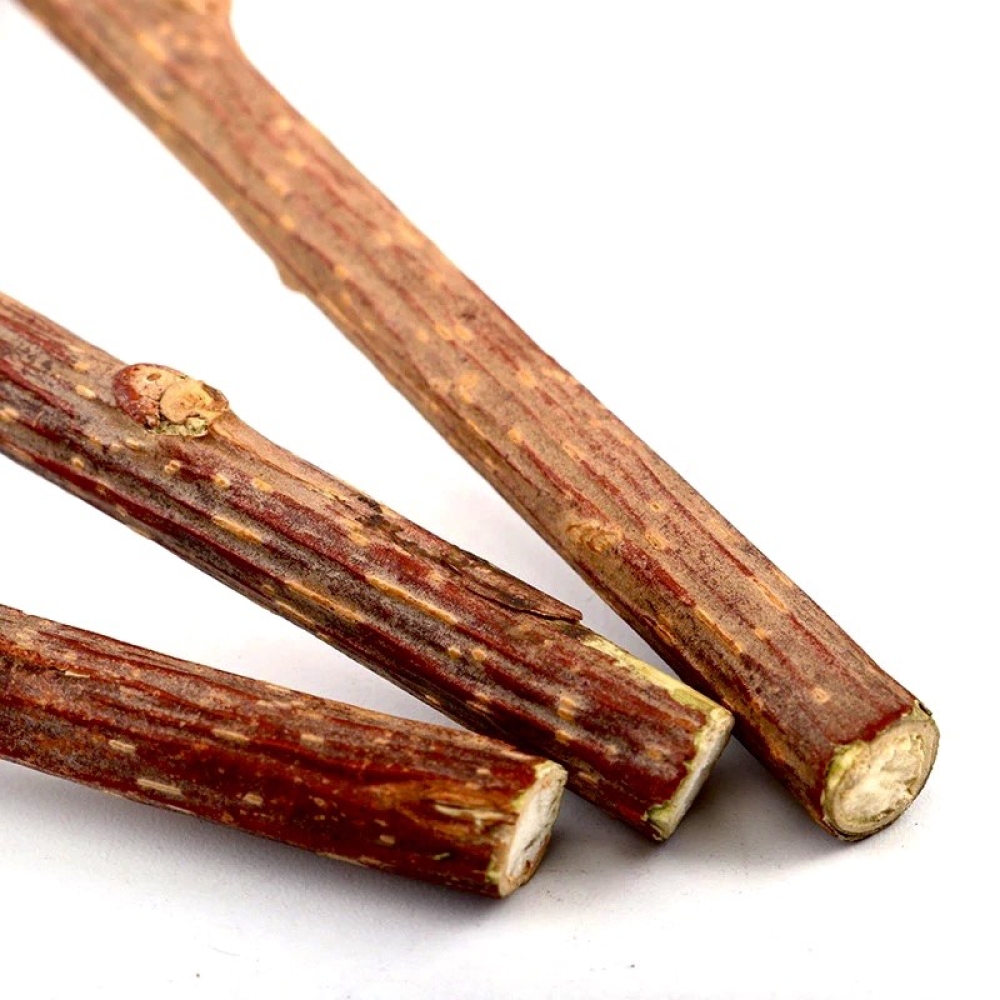 Que kẹo mút catnip thư giãn cho mèo