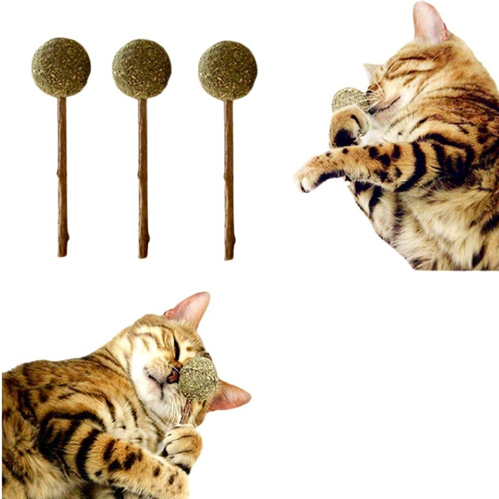 Que kẹo mút catnip thư giãn cho mèo