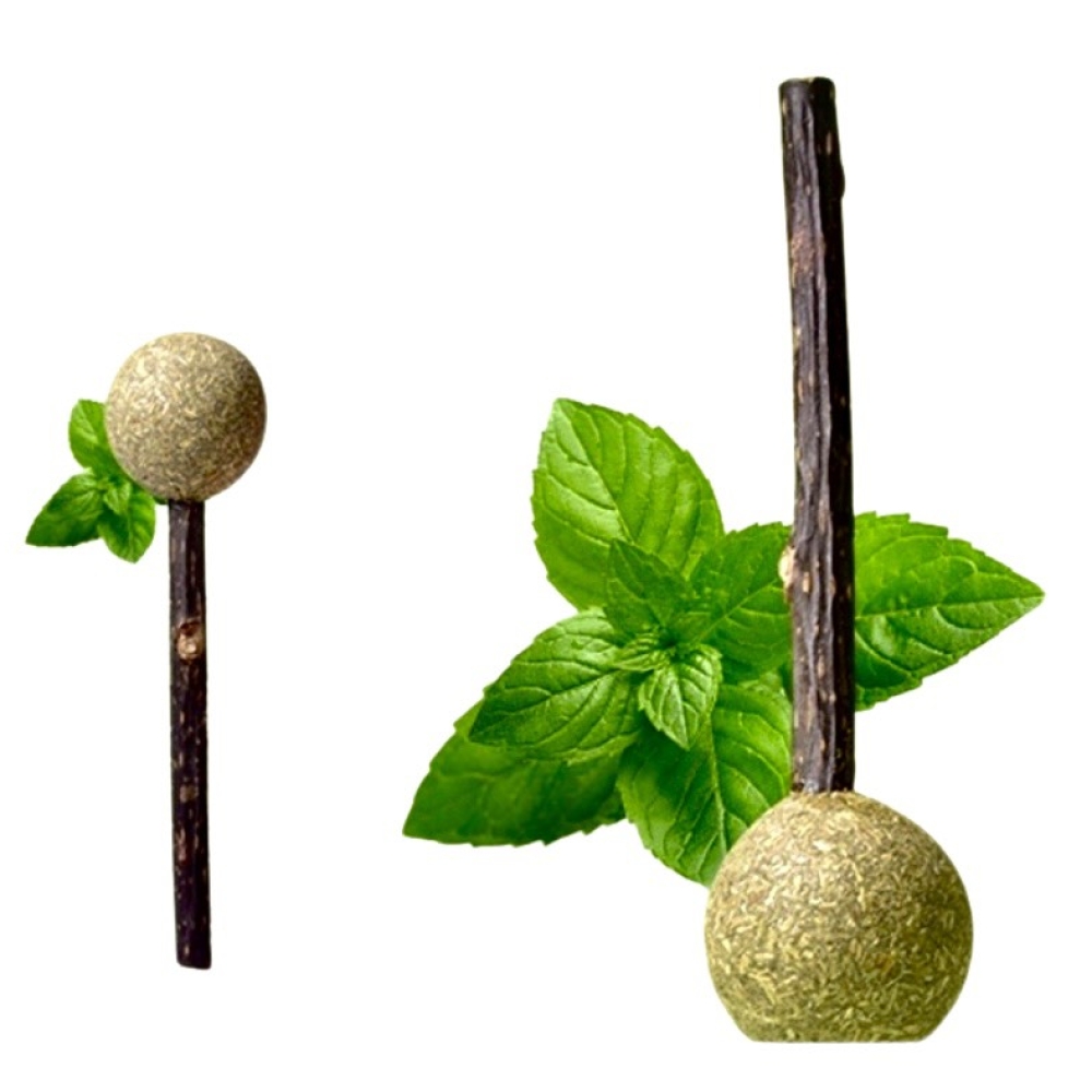 Que kẹo mút catnip thư giãn cho mèo