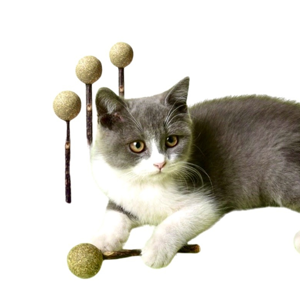 Que kẹo mút catnip thư giãn cho mèo