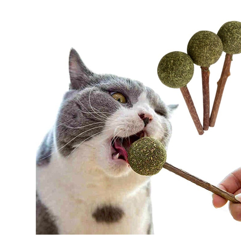 Que kẹo mút catnip thư giãn cho mèo
