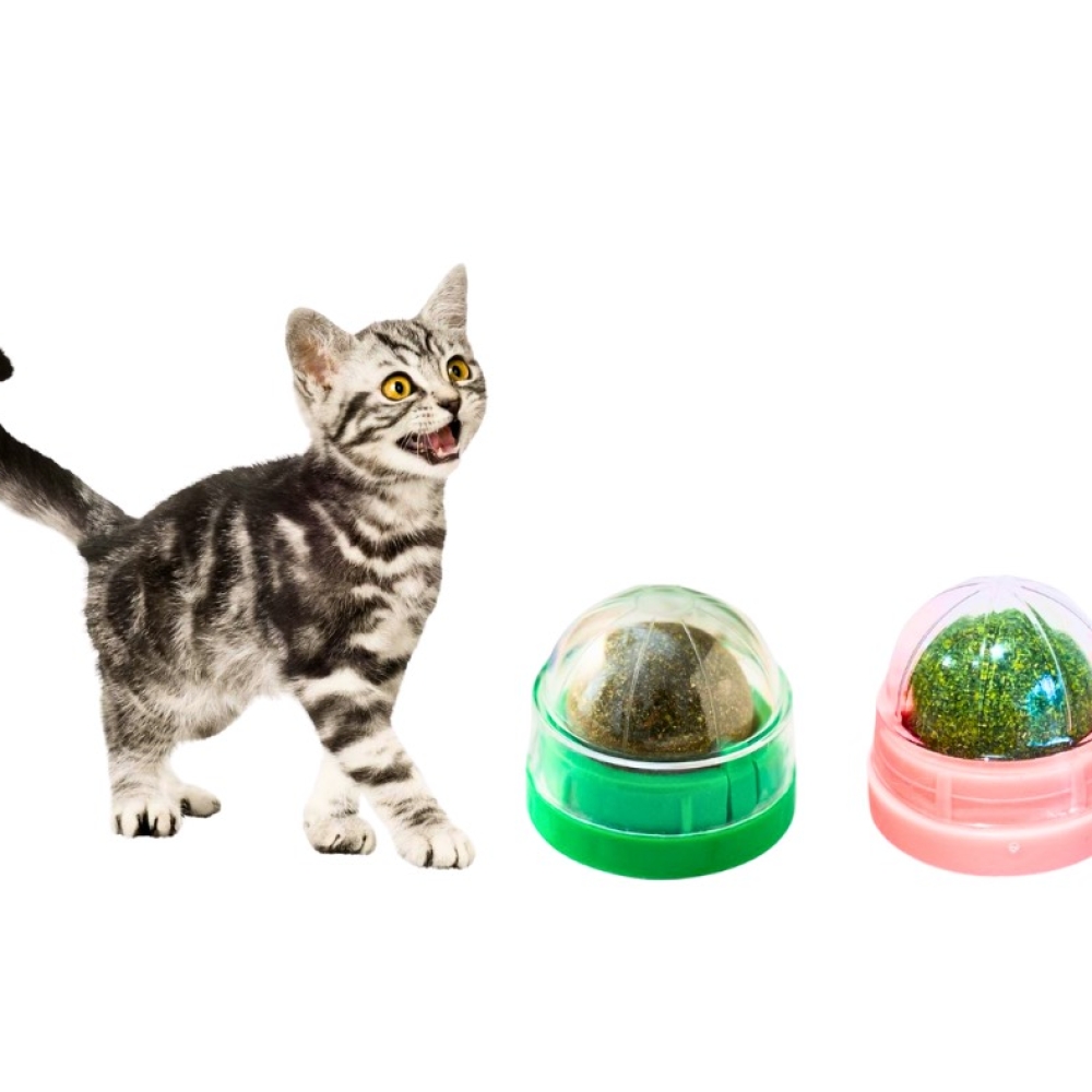 Catnip dán tường thư giãn cho mèo