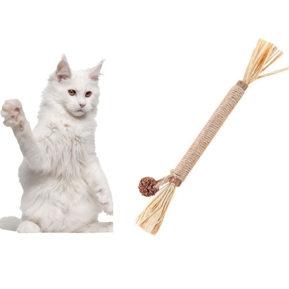 Que catnip cho mèo hỗ trợ giải tỏa căng thẳng cho mèo