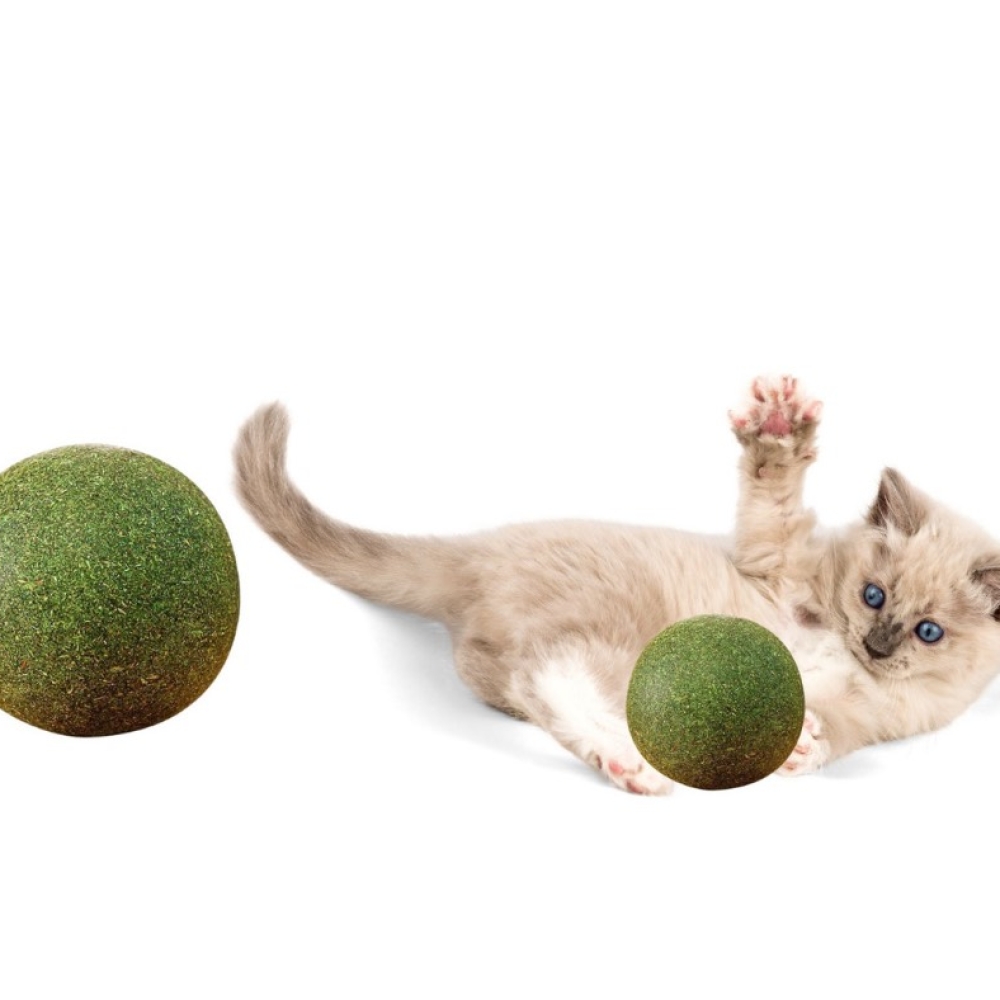 Bóng catnip khổng lồ hỗ trợ tiêu búi lông, ổn định tâm trạng cho mèo