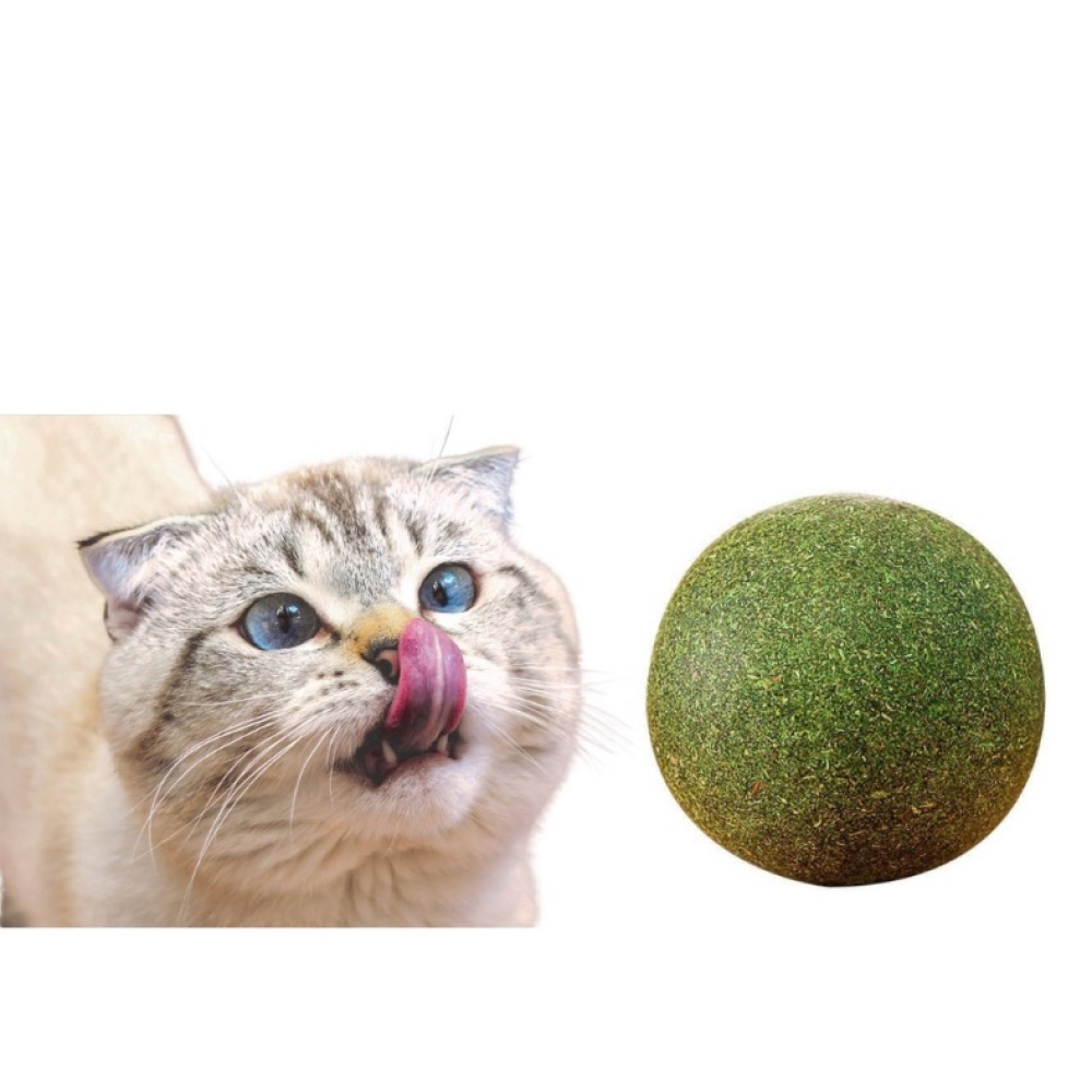 Bóng catnip khổng lồ hỗ trợ tiêu búi lông, ổn định tâm trạng cho mèo