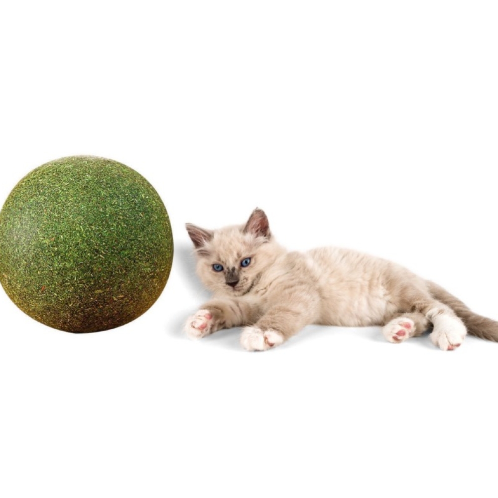 Bóng catnip khổng lồ hỗ trợ tiêu búi lông, ổn định tâm trạng cho mèo