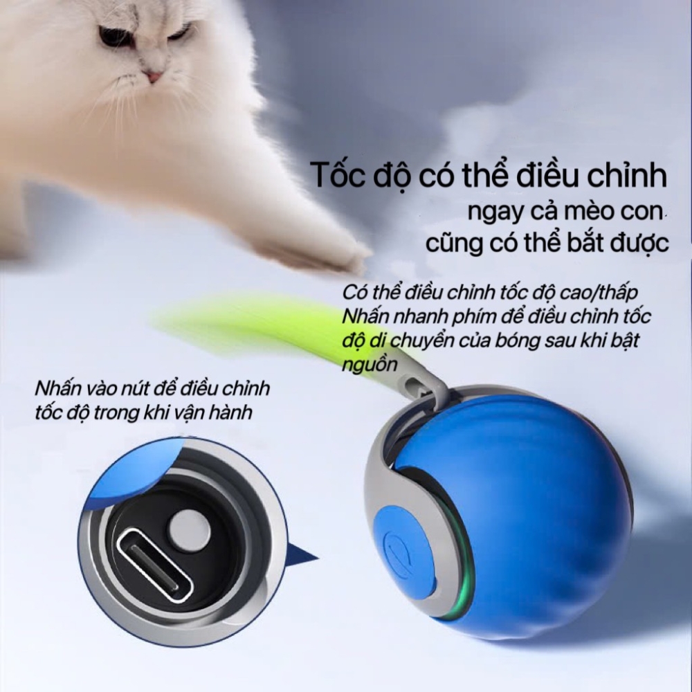 Bóng đồ chơi cho mèo lăn tự động có USB kèm đuôi màu sắc